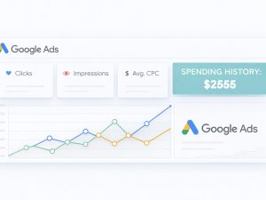 Google Ads Account — Spent $2555.62