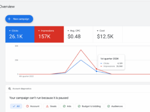 Google Ads account 2024 Kazakhstan — Spent $12500