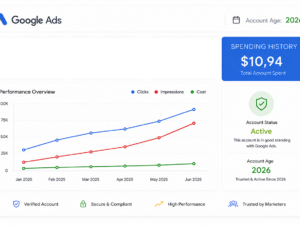 Google Ads account 2026 USA — Spent $10
