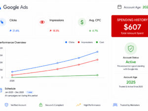 Аккаунт Google Ads 2025, Польша — потрачено 607 долларов США