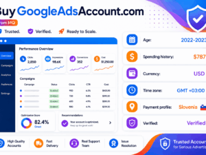 Google Ads 账户 2022-2023 美国 — 支出 787 美元