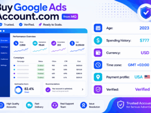 2023年美国Google Ads账户——支出777美元