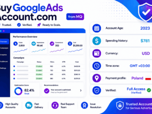 2023年美国Google Ads账户——支出781美元